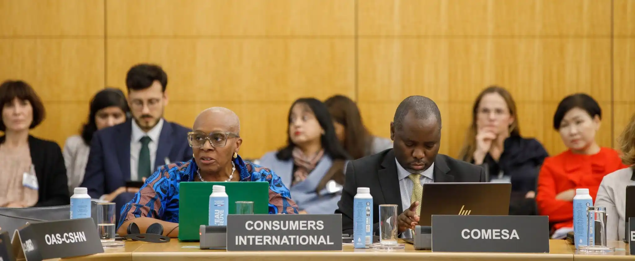 CADEF advocating for consumers at an international policy forum